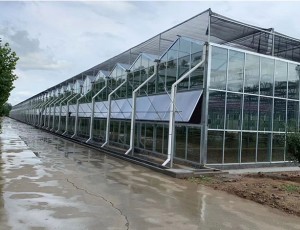 溫室大棚工程造價的評估指標有哪些？