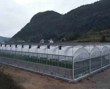 連棟薄膜溫室