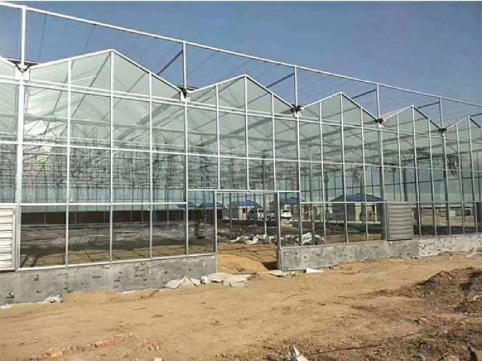 玻璃大棚